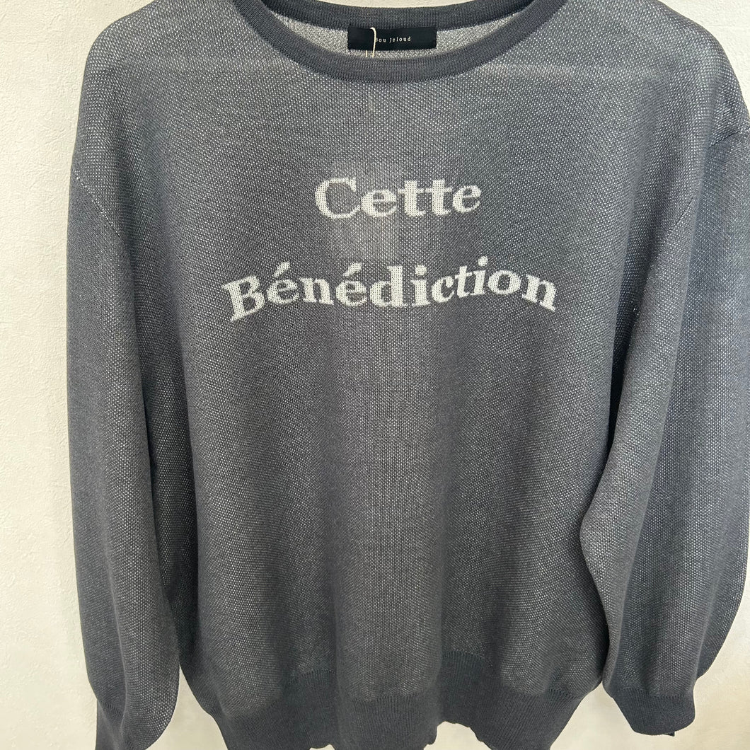 シアーロゴニットプルオーバー